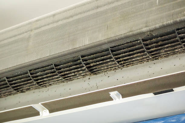 Best Air Duct Cleaning Near Me  in Barre, VT